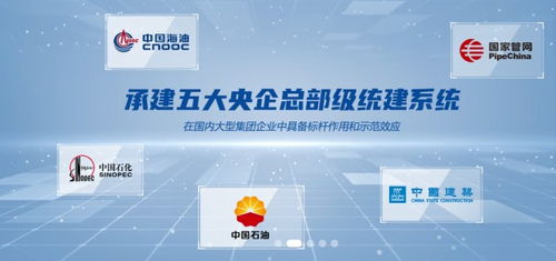 普聯(lián)軟件300996在中國,國資委 證監(jiān)會 銀保監(jiān)會 上交所 深交所等監(jiān)管機構要